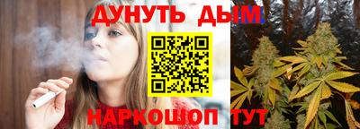 индика Новодвинск