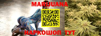 индика Новодвинск