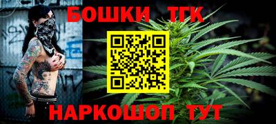 индика Новодвинск