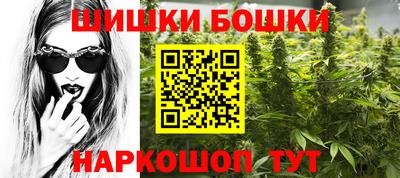 индика Новодвинск