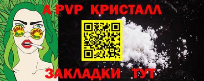 индика Новодвинск
