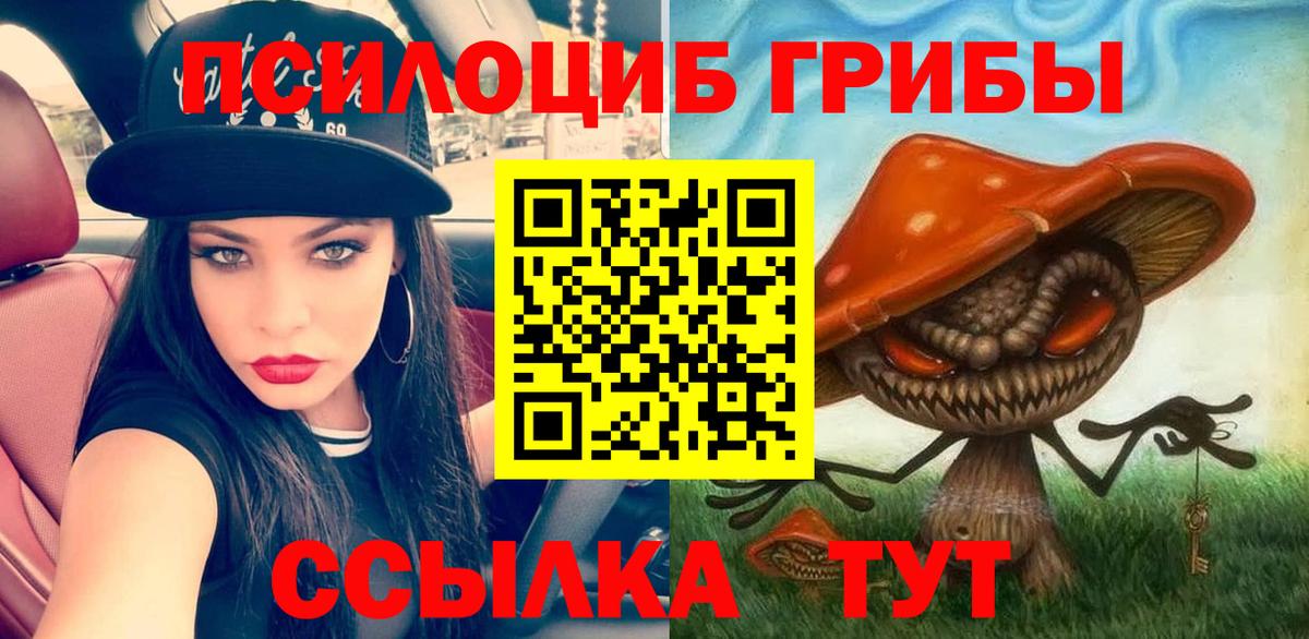 Галлюциногенные грибы мицелий  Галлюциногенные грибы Psilocybine cubensis  Вход с VPN  Свободный 