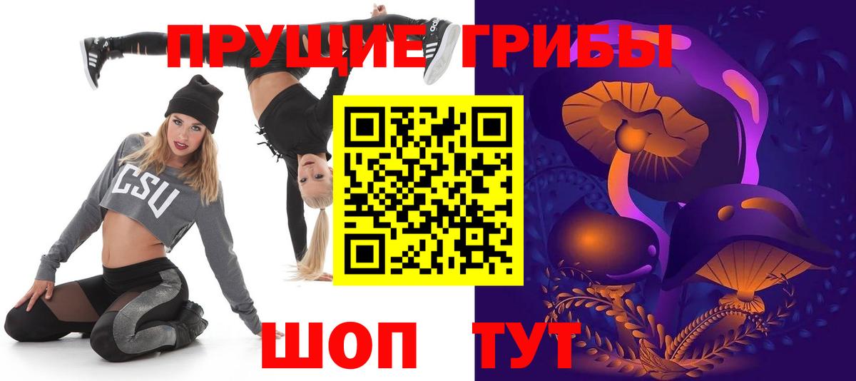 Галлюциногенные грибы Cubensis Свободный